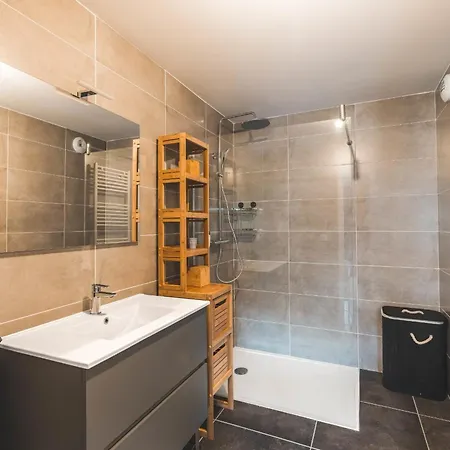 Flat Le Renne Blanc - In The Center Of Praz-sur-Arly