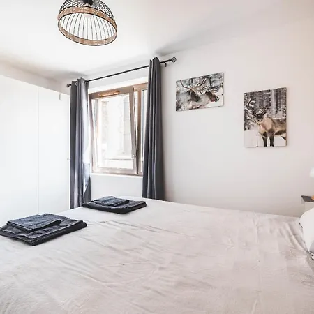 Apartment Flat Le Renne Blanc - In The Center Of